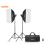 GODOX MS300 F Studioblixtpaket 300WS med väska